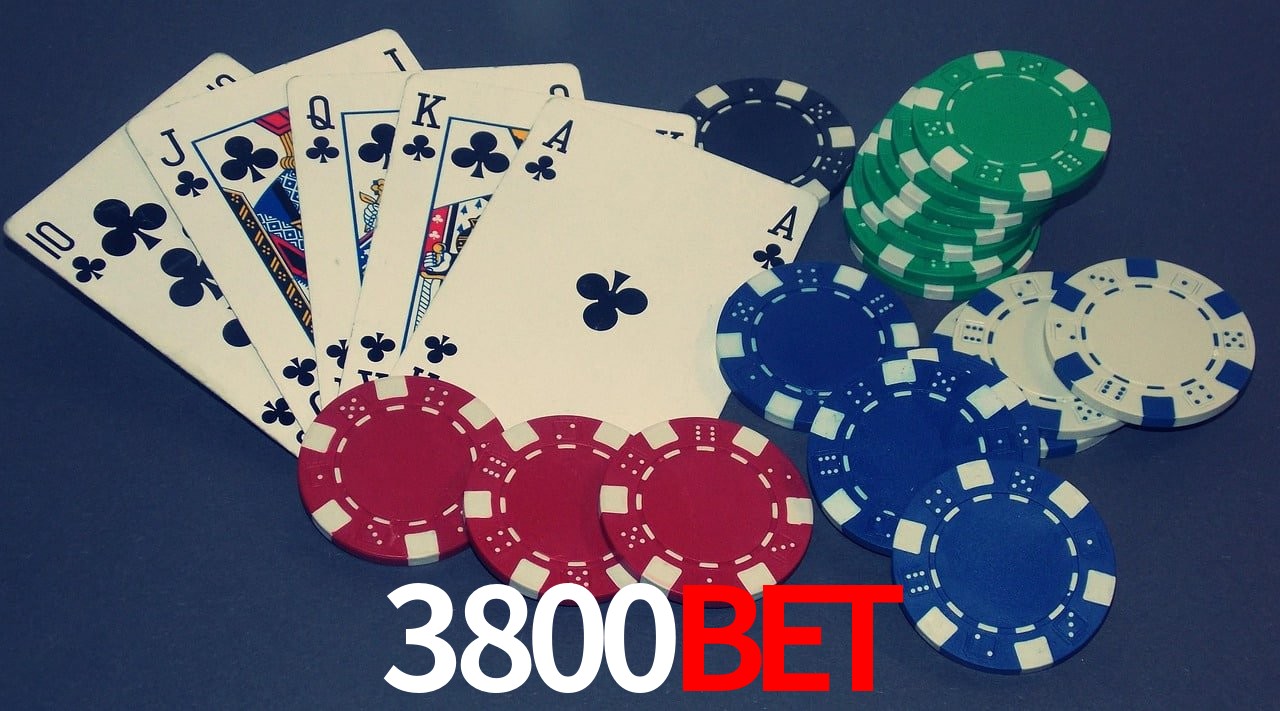 Game Statistics 3800bet